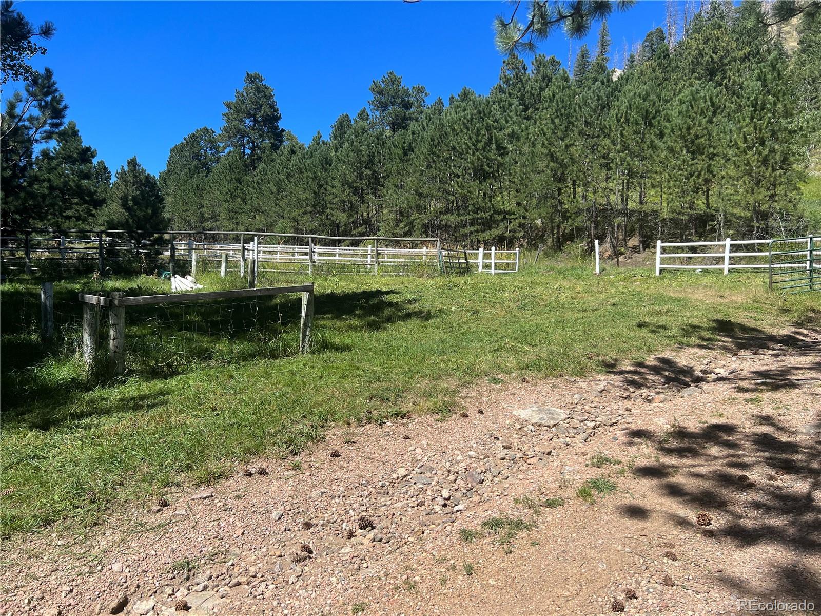 1268 Spring Valley Road Bellvue CO 80512