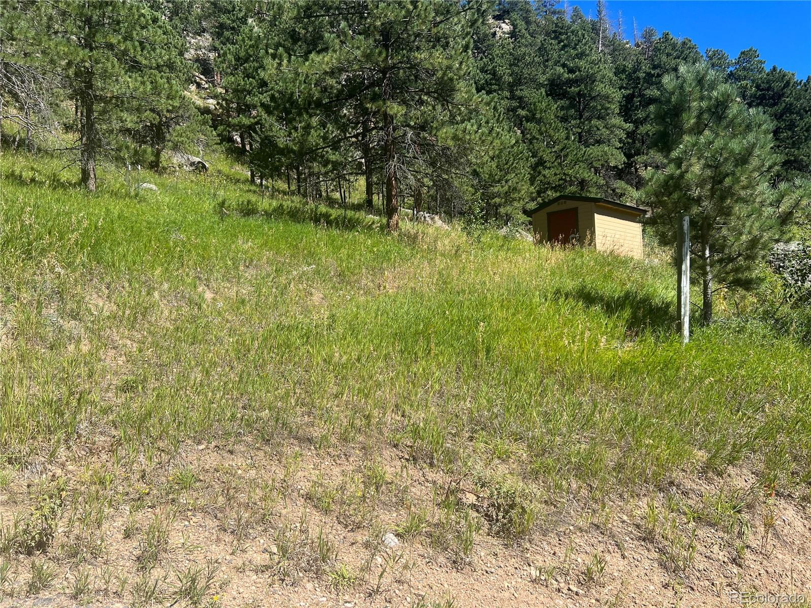 1268 Spring Valley Road Bellvue CO 80512