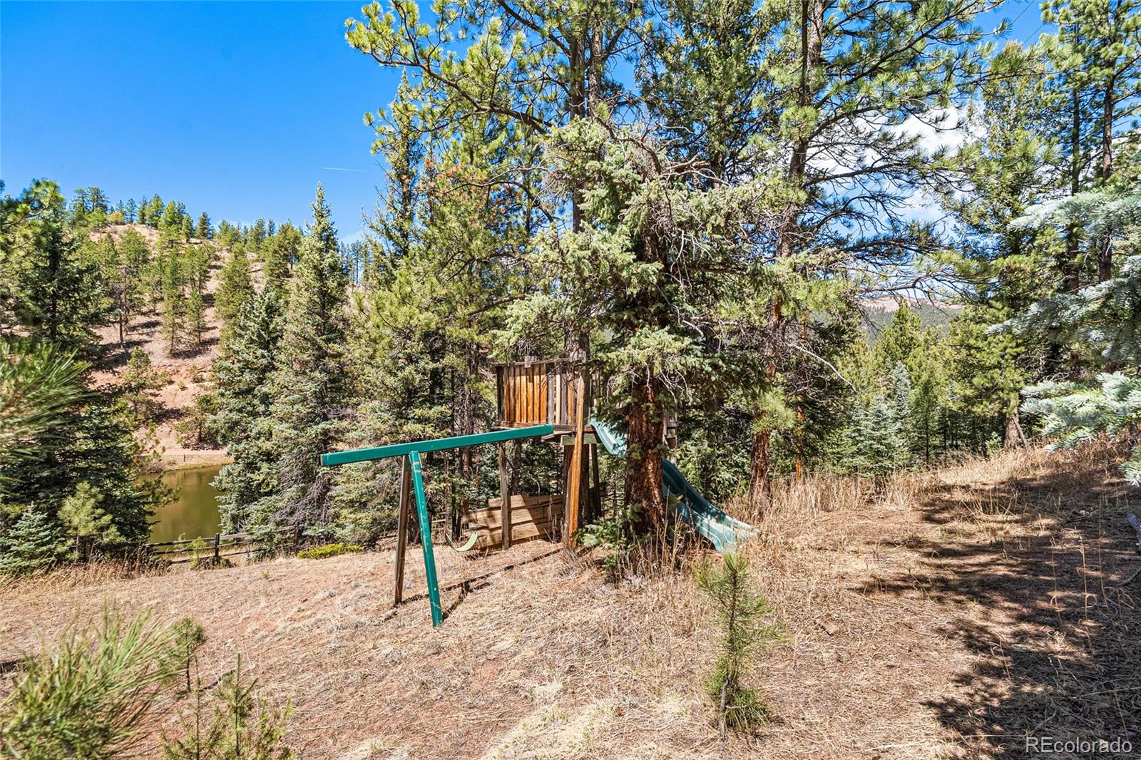 33769 Myrna Court Pine CO 80470
