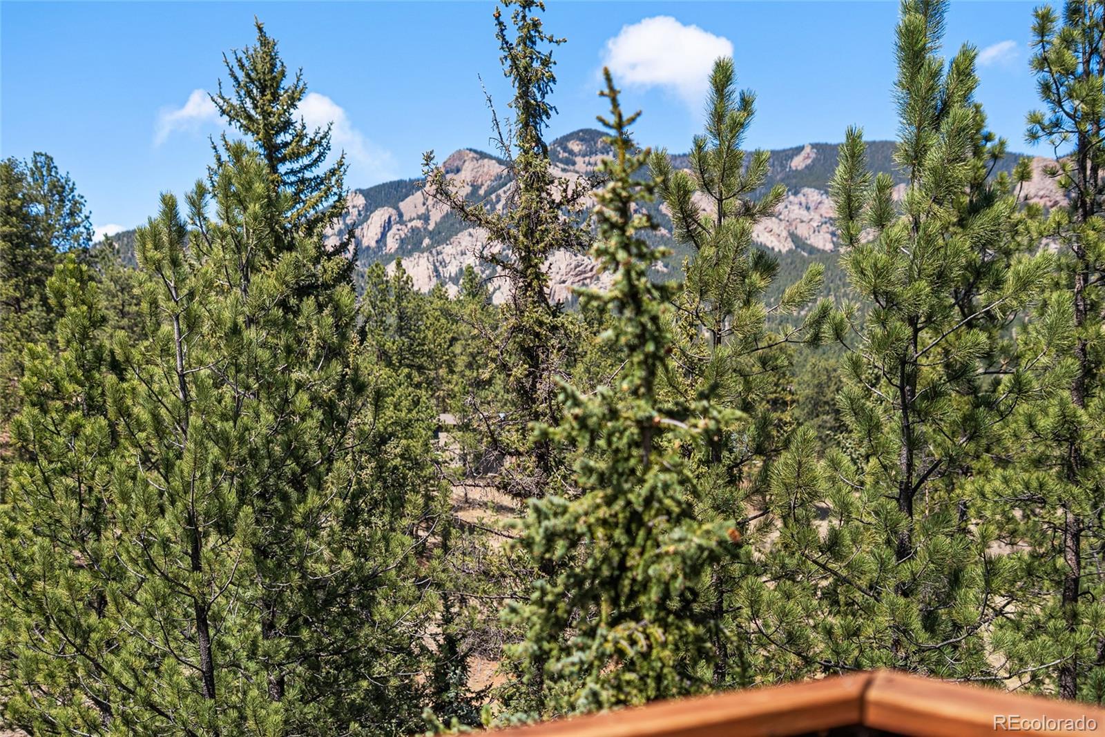 33769 Myrna Court Pine CO 80470