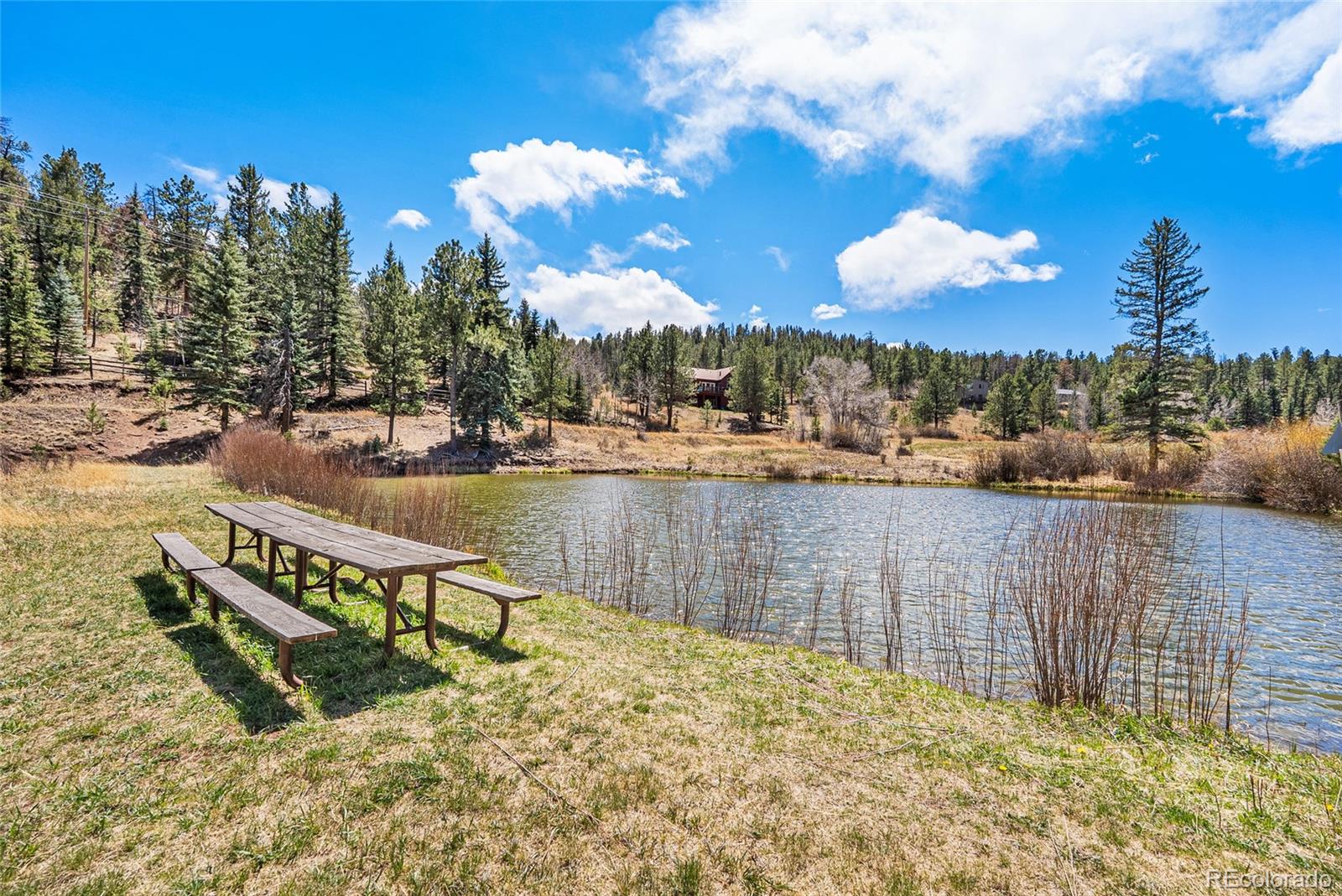 33769 Myrna Court Pine CO 80470