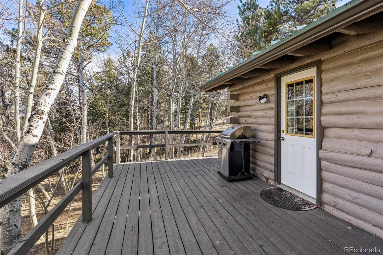 150 Mount Fisher Court Livermore CO 80536