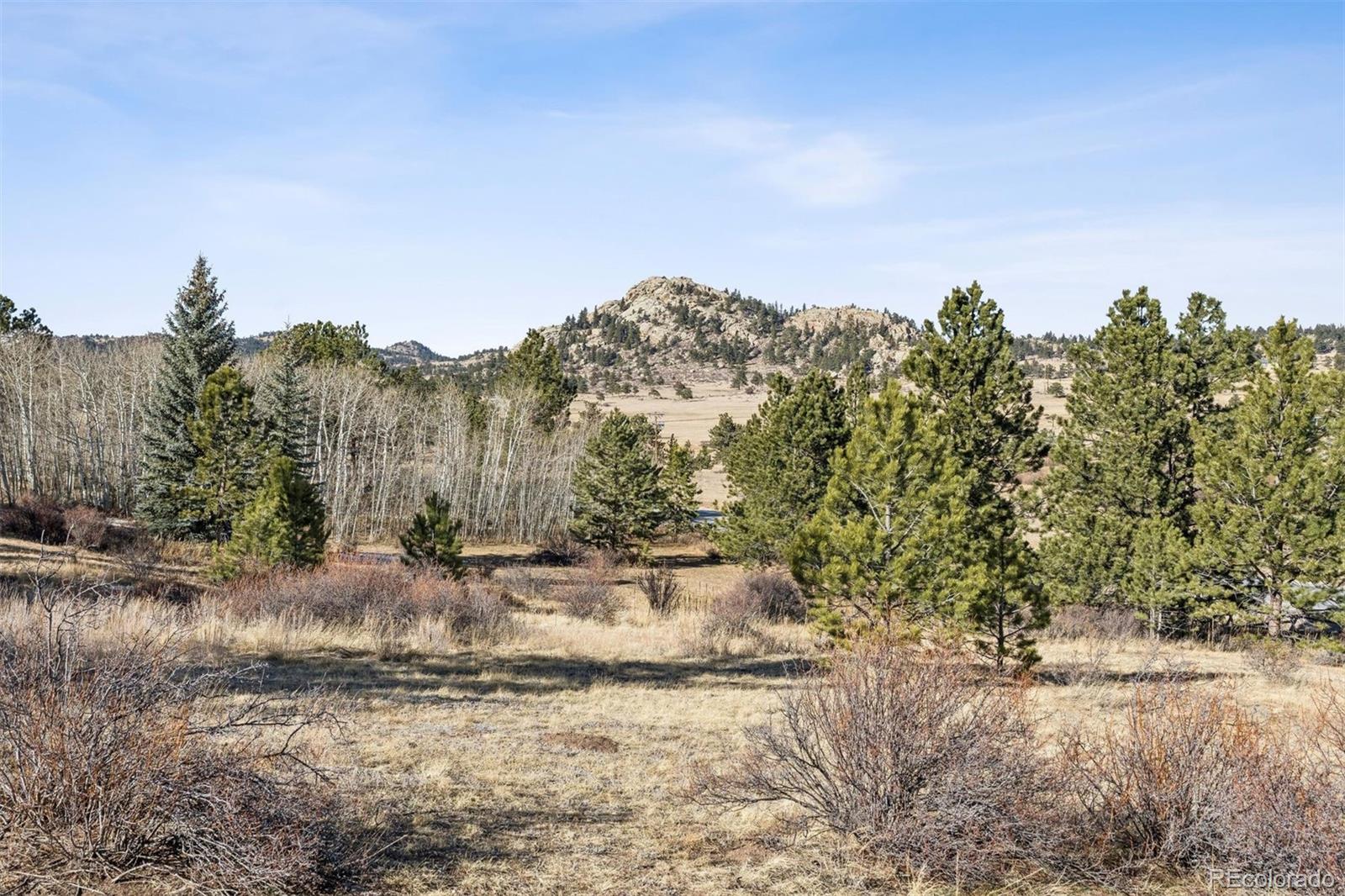 150 Mount Fisher Court Livermore CO 80536
