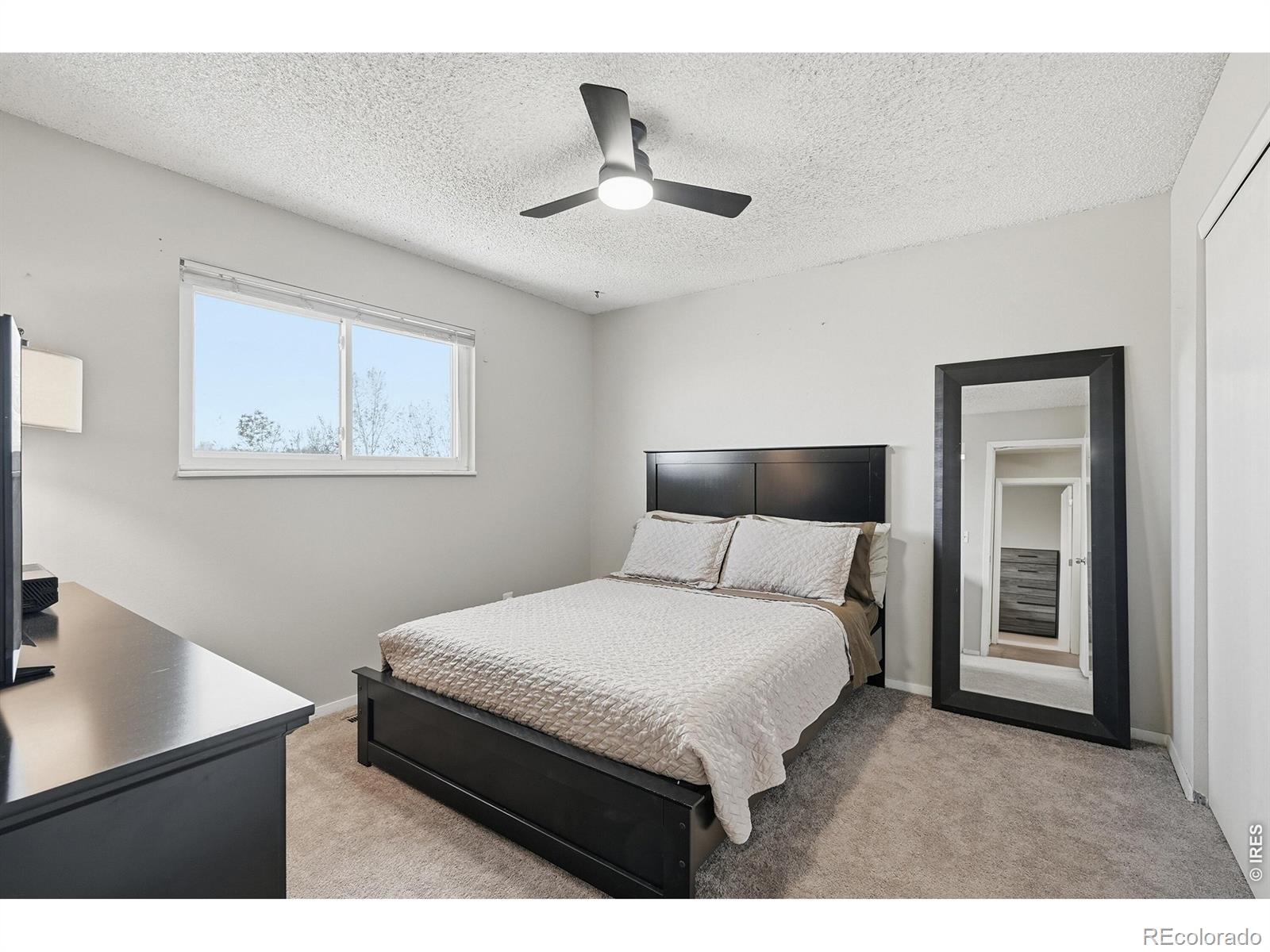 539 Cora Place Loveland CO 80537