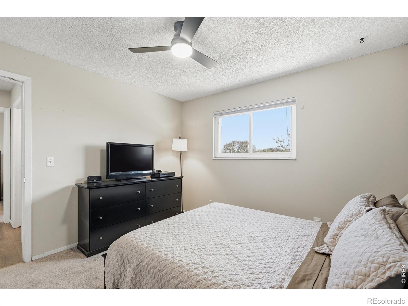 539 Cora Place Loveland CO 80537