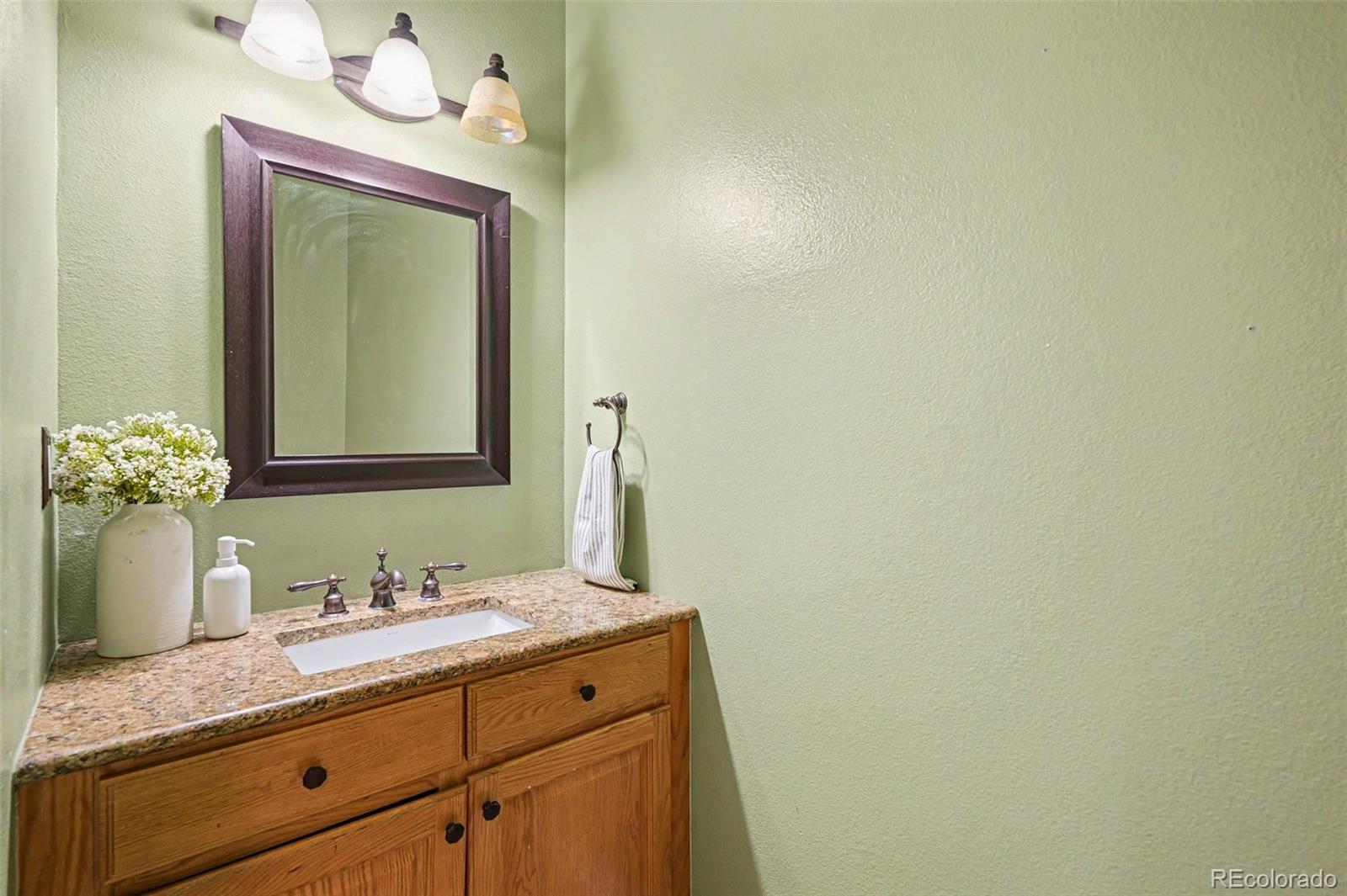 9231 Millcreek Court Highlands Ranch CO 80126