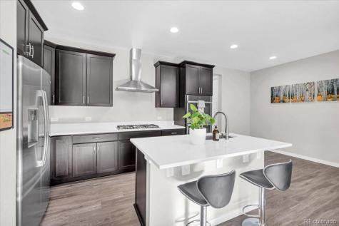 3701 Penang Drive Castle Rock CO 80109