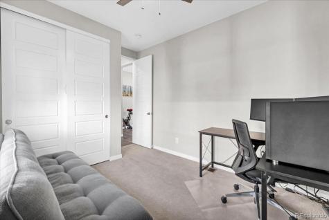 3701 Penang Drive Castle Rock CO 80109