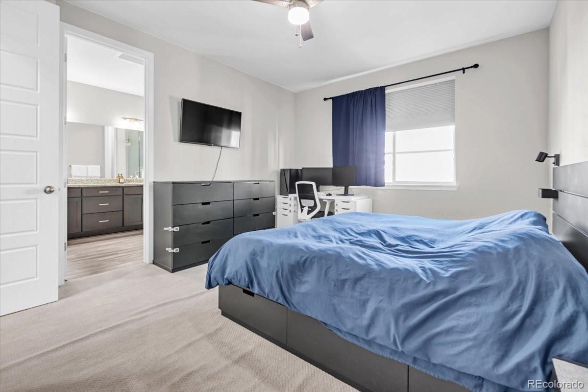 3701 Penang Drive Castle Rock CO 80109