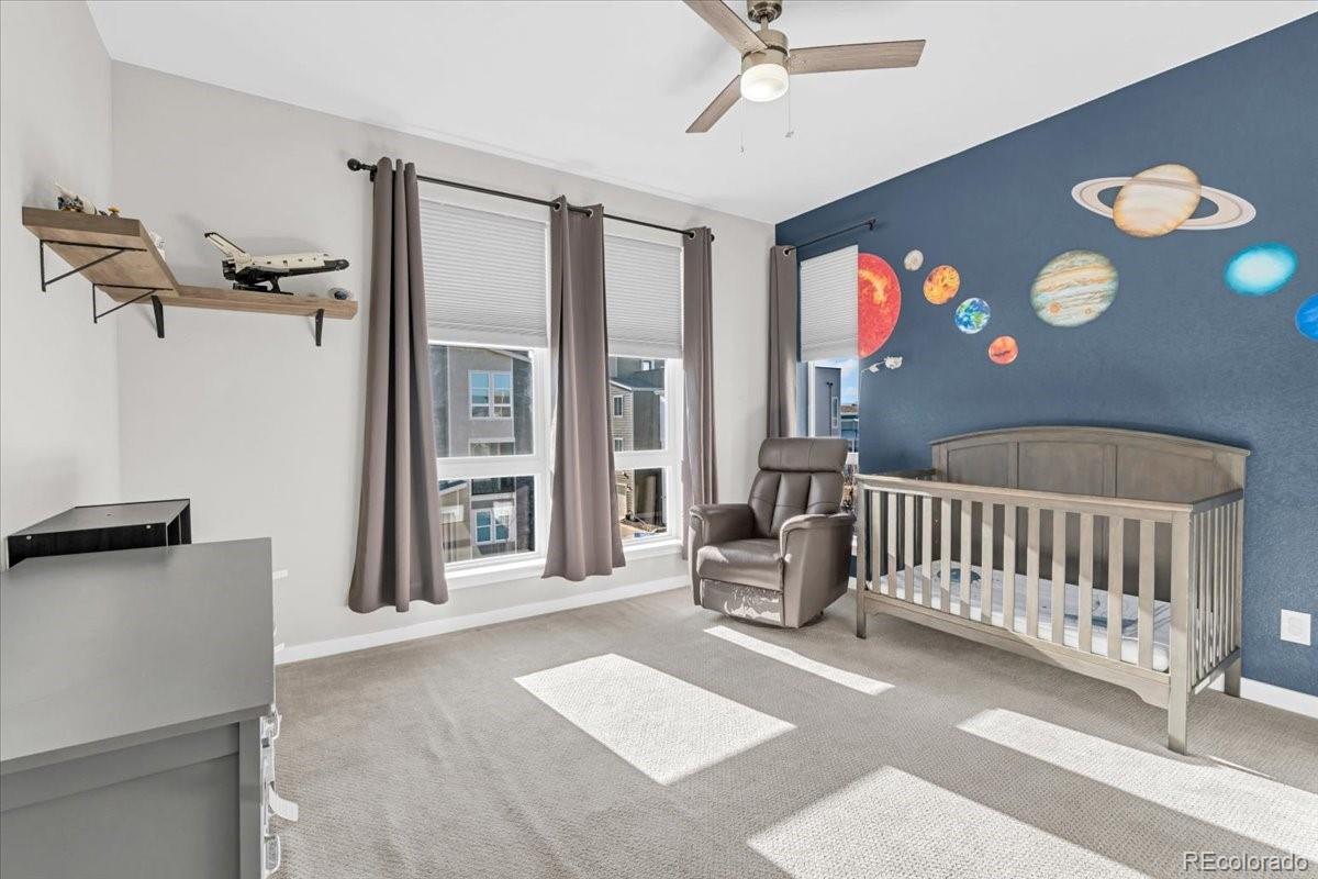 3701 Penang Drive Castle Rock CO 80109