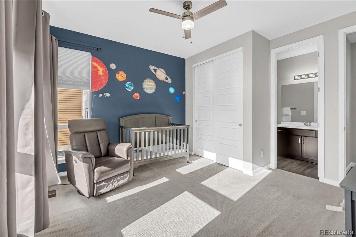 3701 Penang Drive Castle Rock CO 80109