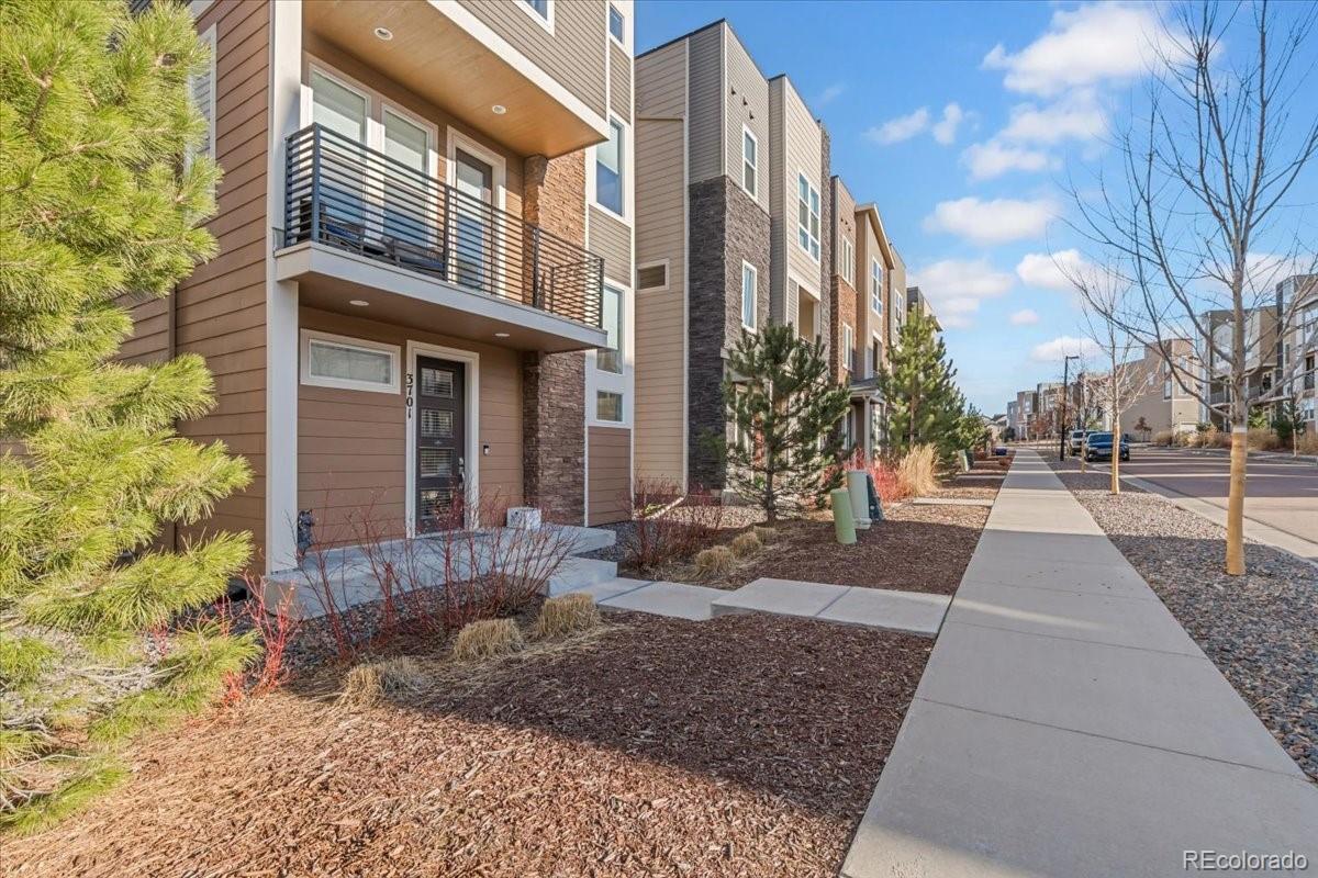 3701 Penang Drive Castle Rock CO 80109