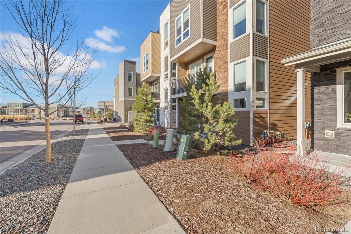 3701 Penang Drive Castle Rock CO 80109