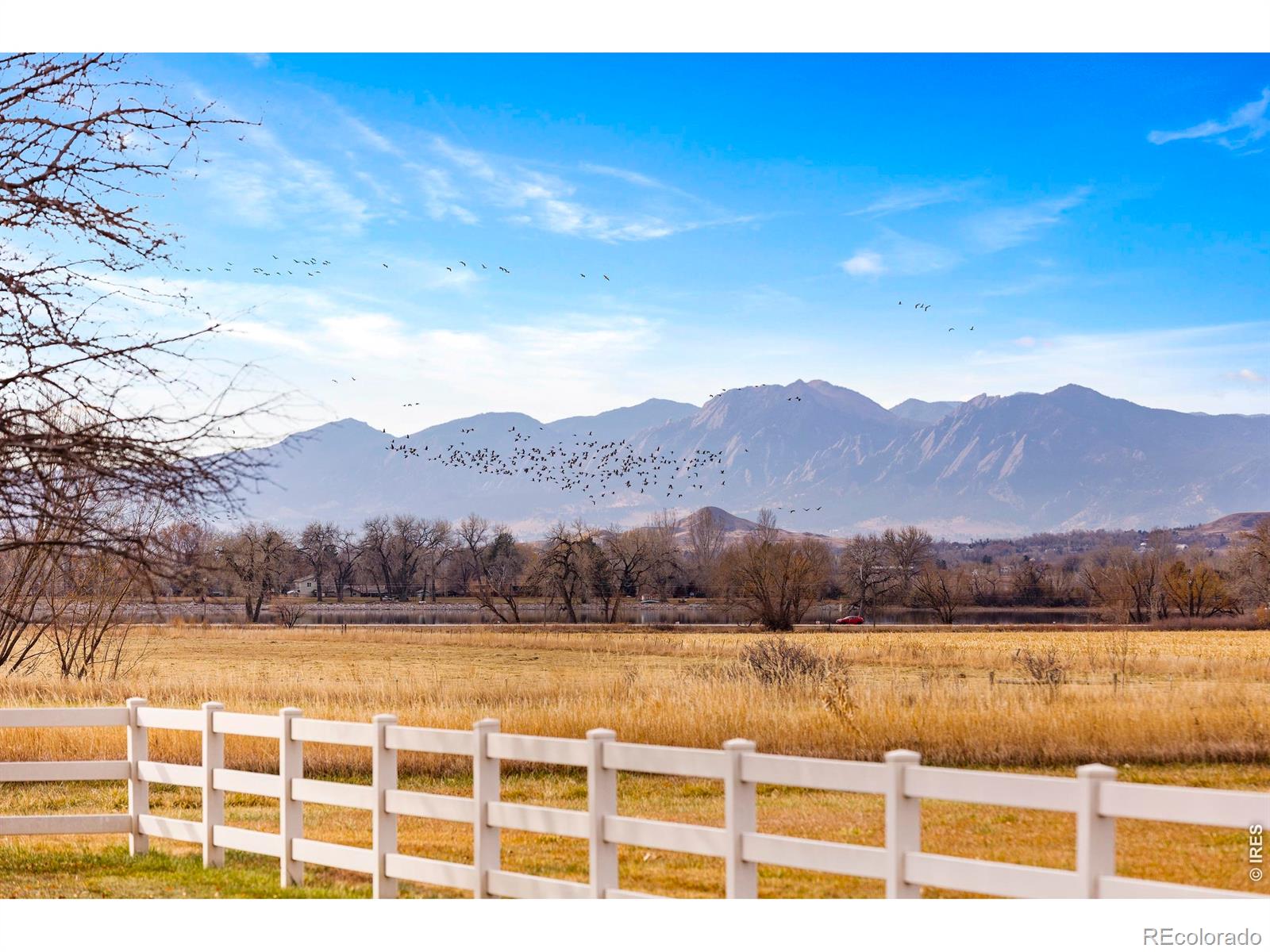 13155 N 75th Street Longmont CO 80503