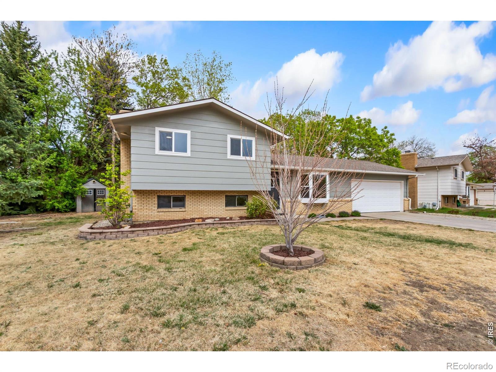 503 Honey Locust Drive Loveland CO 80538