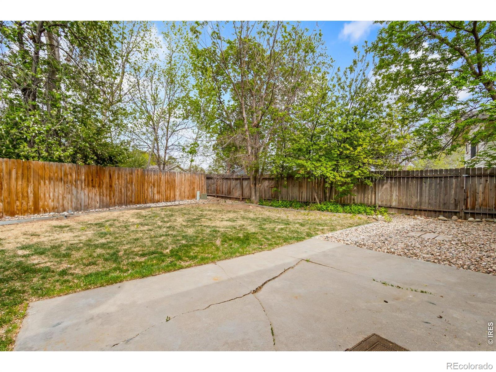 503 Honey Locust Drive Loveland CO 80538