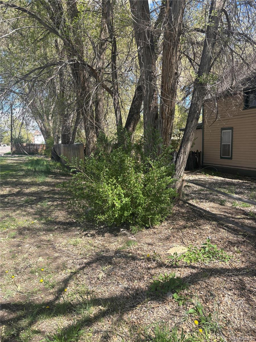 206 Lyell Street Monte Vista CO 81144