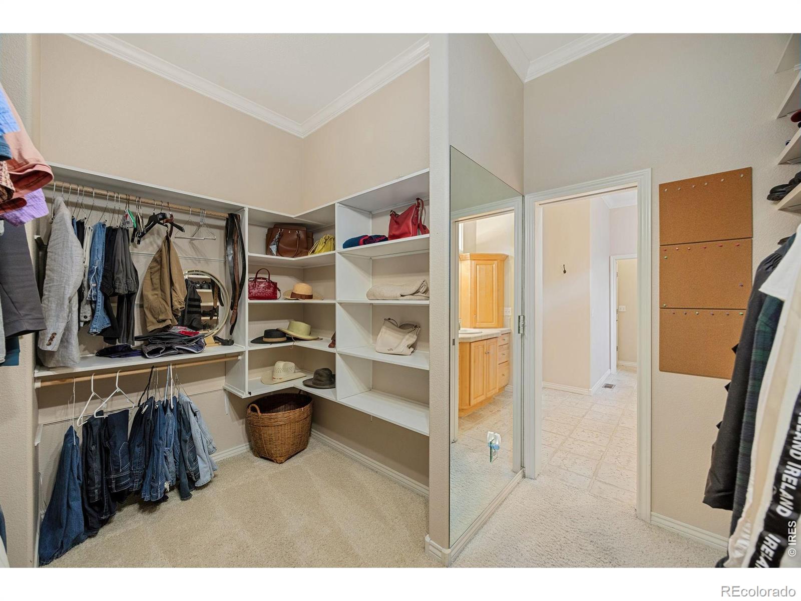 5834 Watson Drive Fort Collins CO 80528