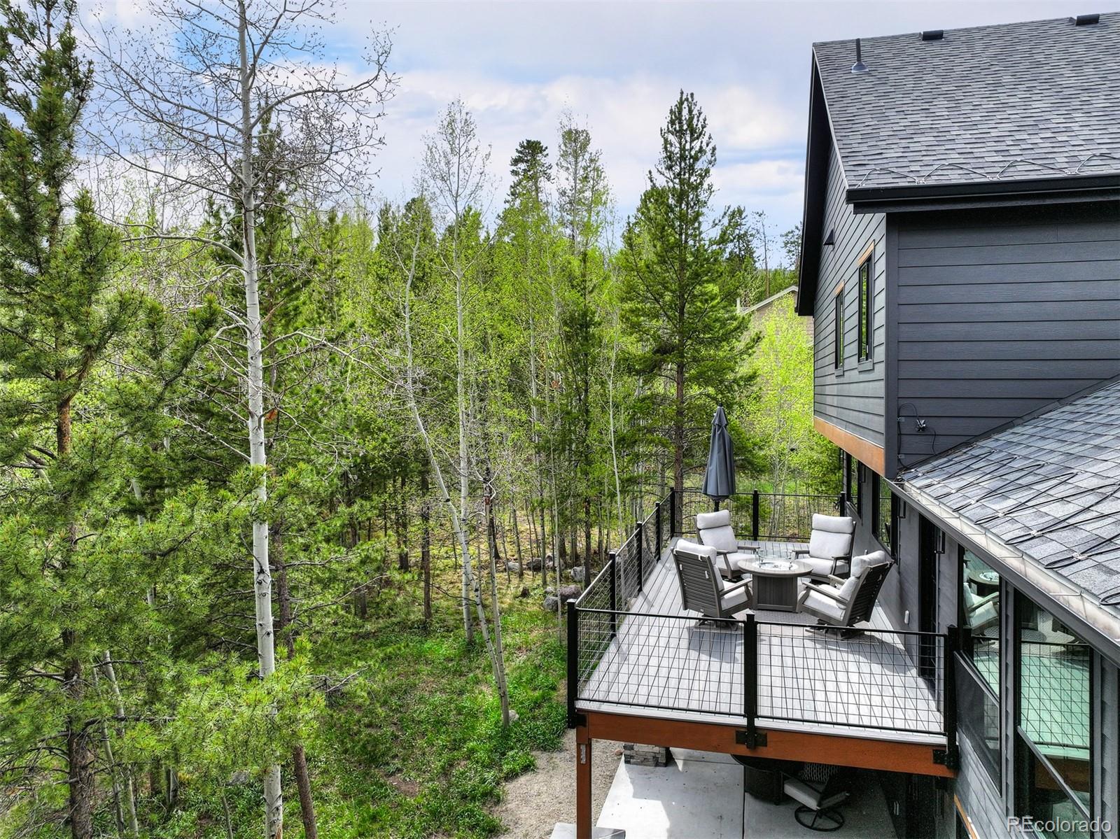 306 S Golden Eagle Drive Silverthorne CO 80498
