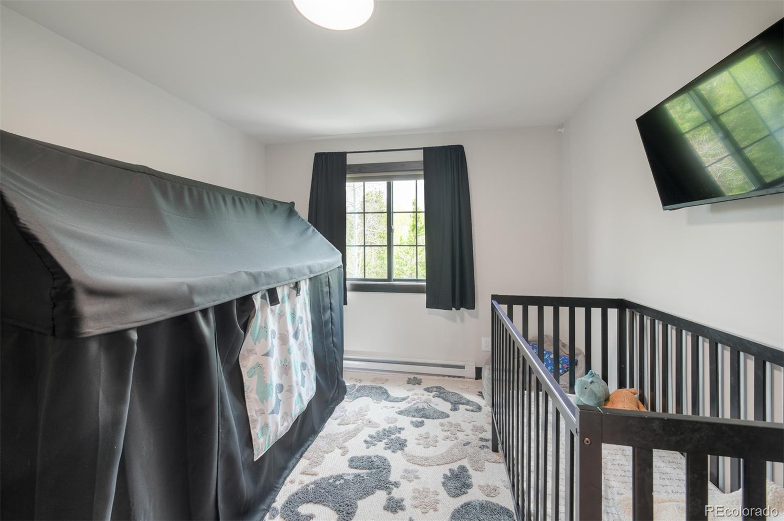 306 S Golden Eagle Drive Silverthorne CO 80498