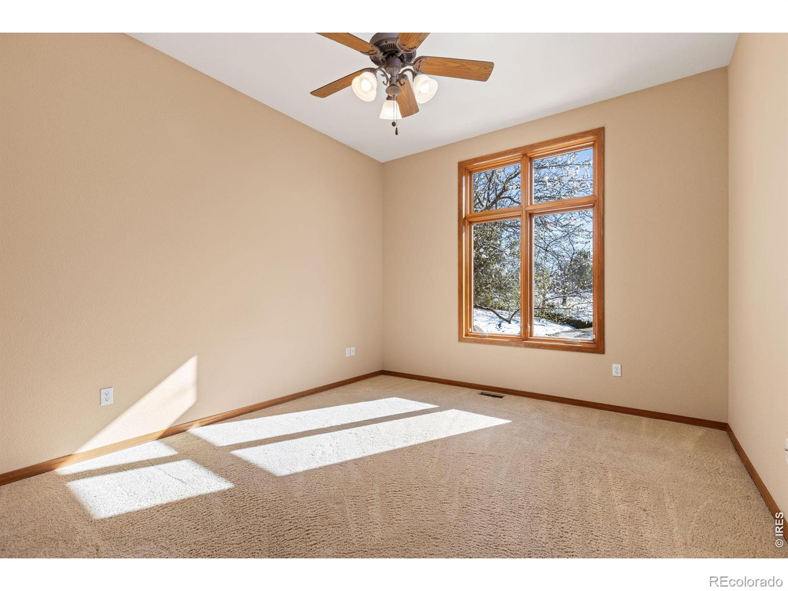 14683 Beeler Street Brighton CO 80602