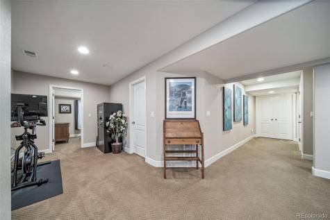 18236 Shadbury Lane Parker CO 80134