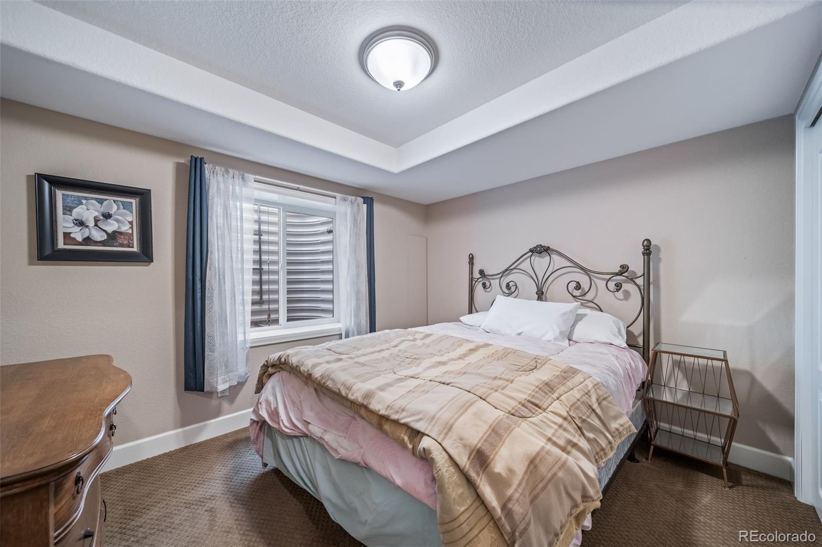 18236 Shadbury Lane Parker CO 80134