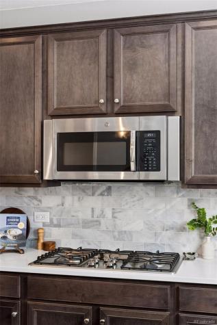 3640 Penang Drive Castle Rock CO 80109