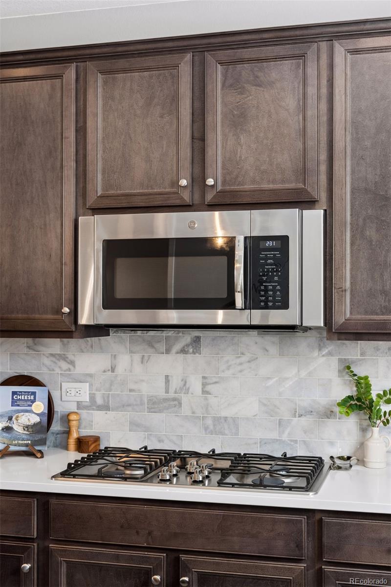3640 Penang Drive Castle Rock CO 80109