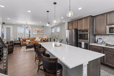 3640 Penang Drive Castle Rock CO 80109