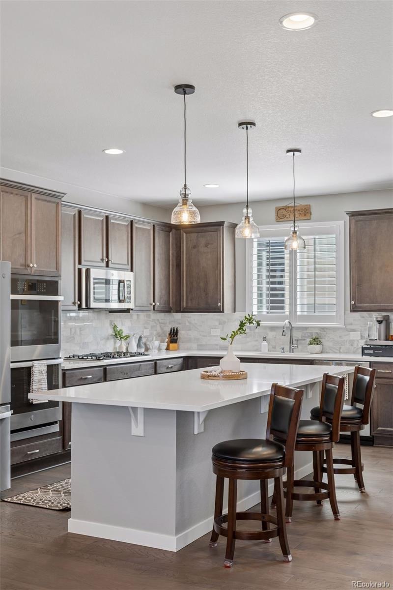 3640 Penang Drive Castle Rock CO 80109