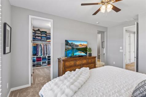3640 Penang Drive Castle Rock CO 80109