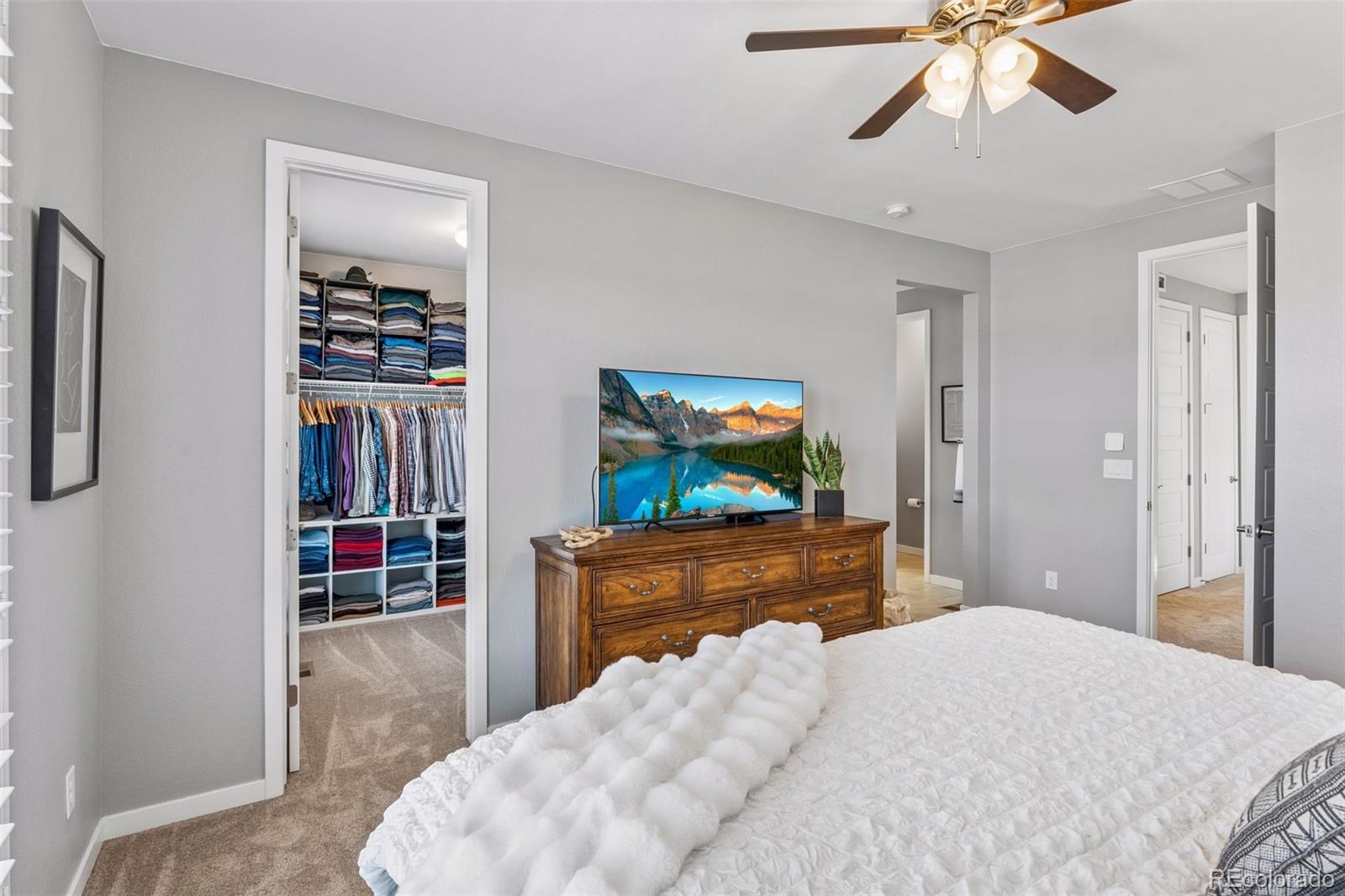 3640 Penang Drive Castle Rock CO 80109