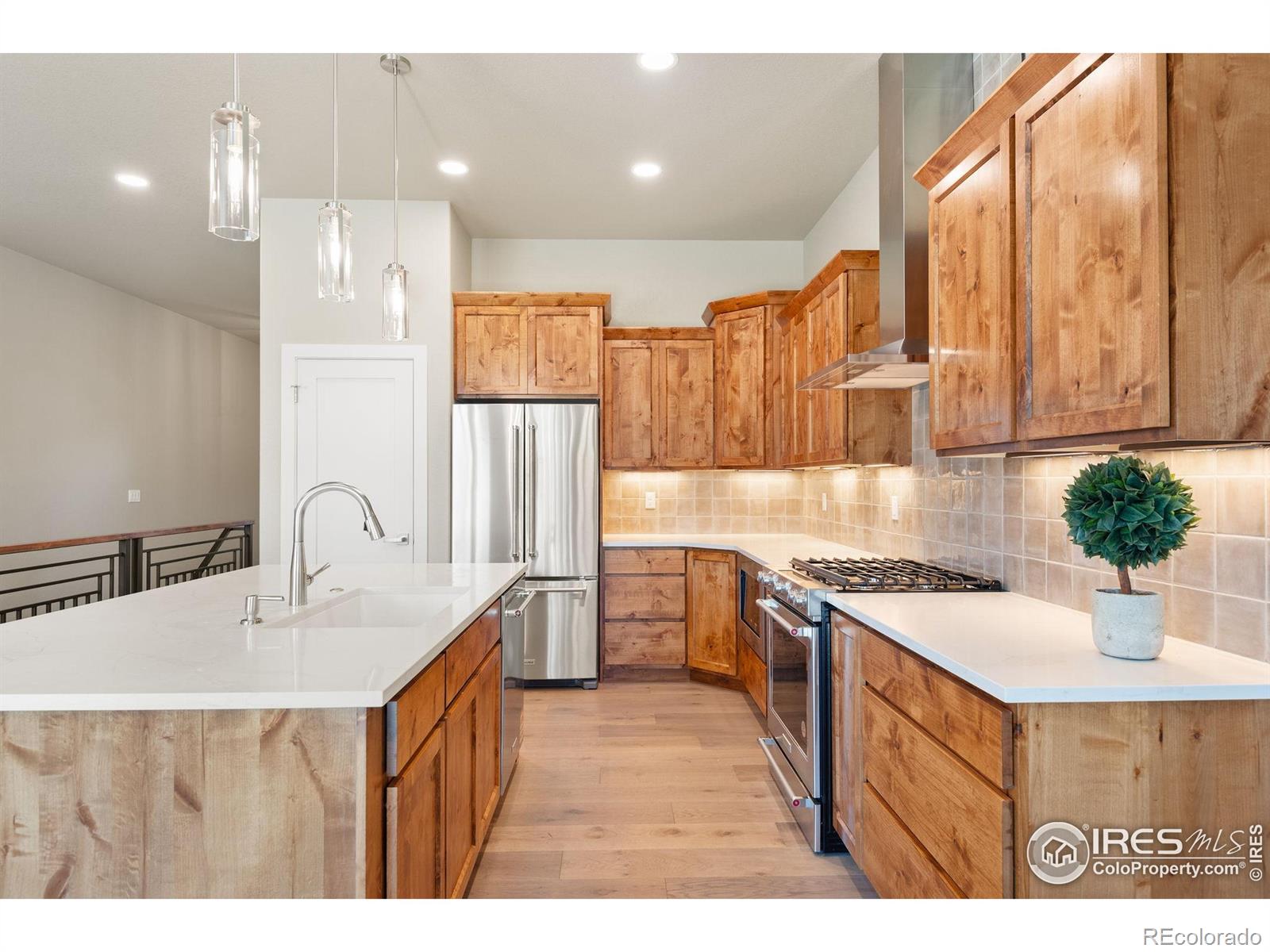 1168 Blue Agave Court Loveland CO 80537