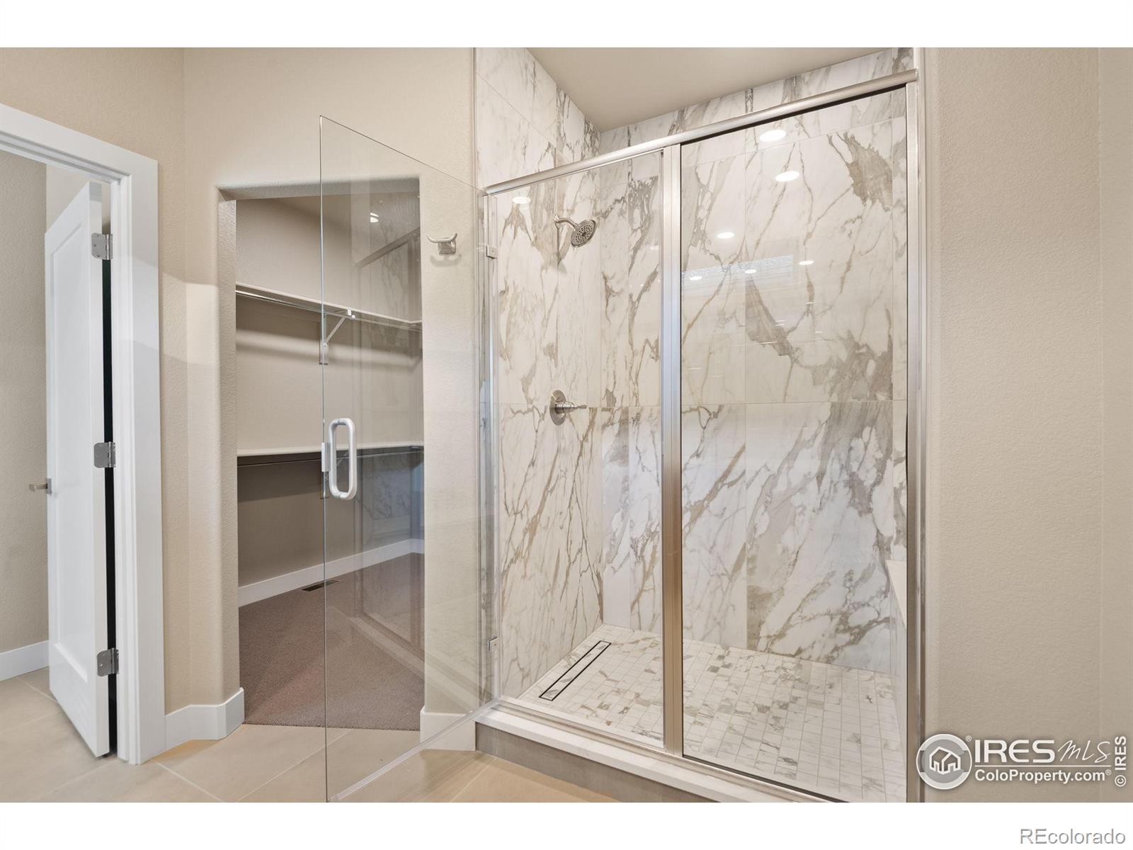 1168 Blue Agave Court Loveland CO 80537