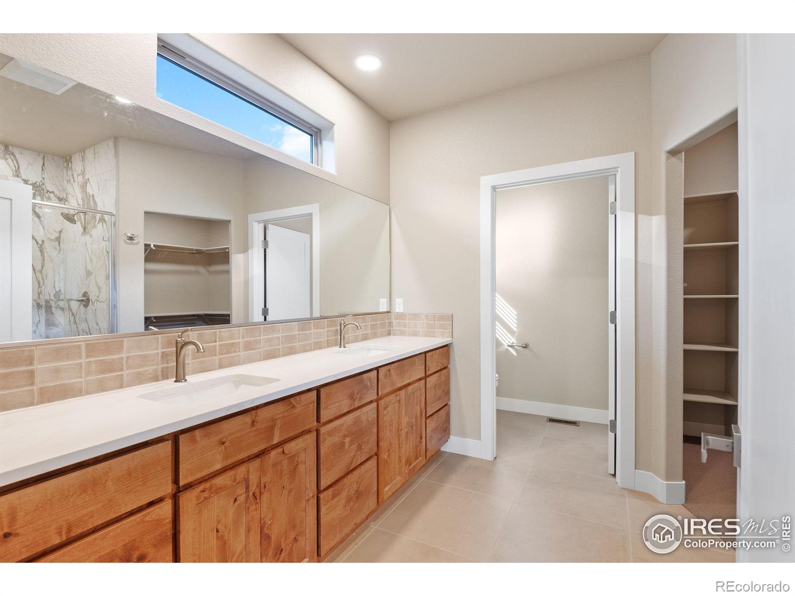 1168 Blue Agave Court Loveland CO 80537