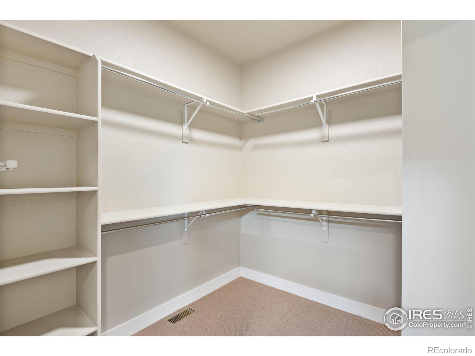 1168 Blue Agave Court Loveland CO 80537