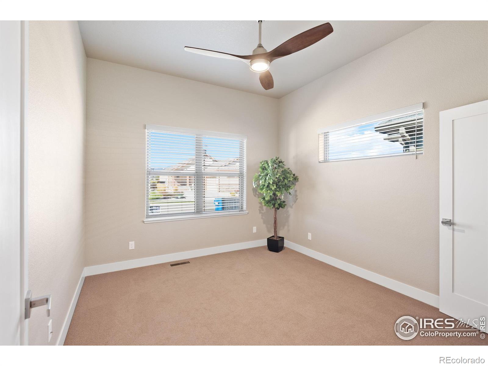 1168 Blue Agave Court Loveland CO 80537