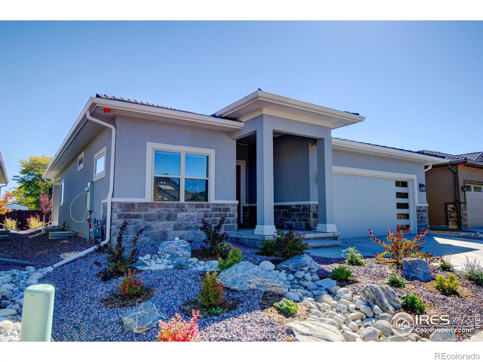 1168 Blue Agave Court Loveland CO 80537