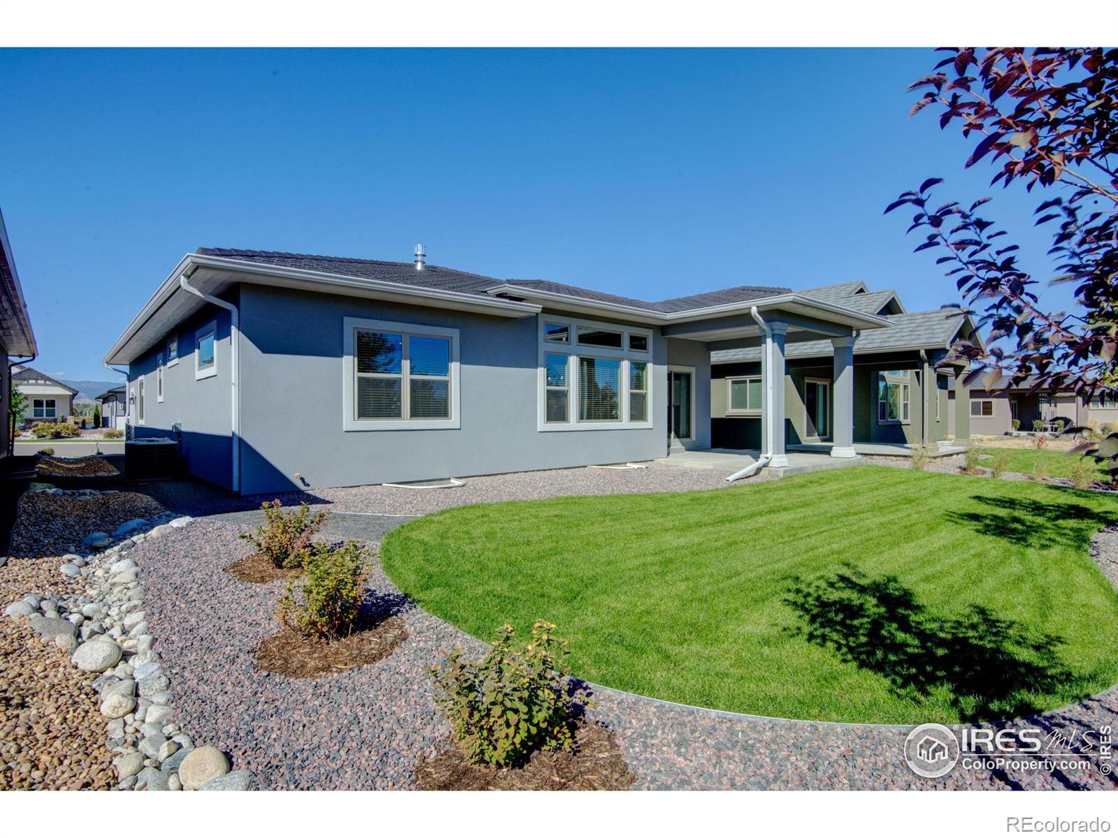 1168 Blue Agave Court Loveland CO 80537