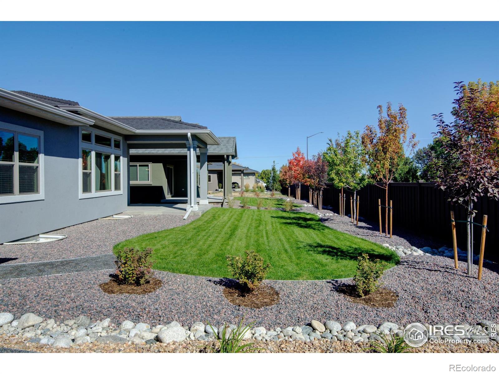1168 Blue Agave Court Loveland CO 80537