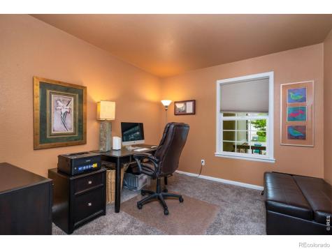8204 Northstar Court Windsor CO 80528