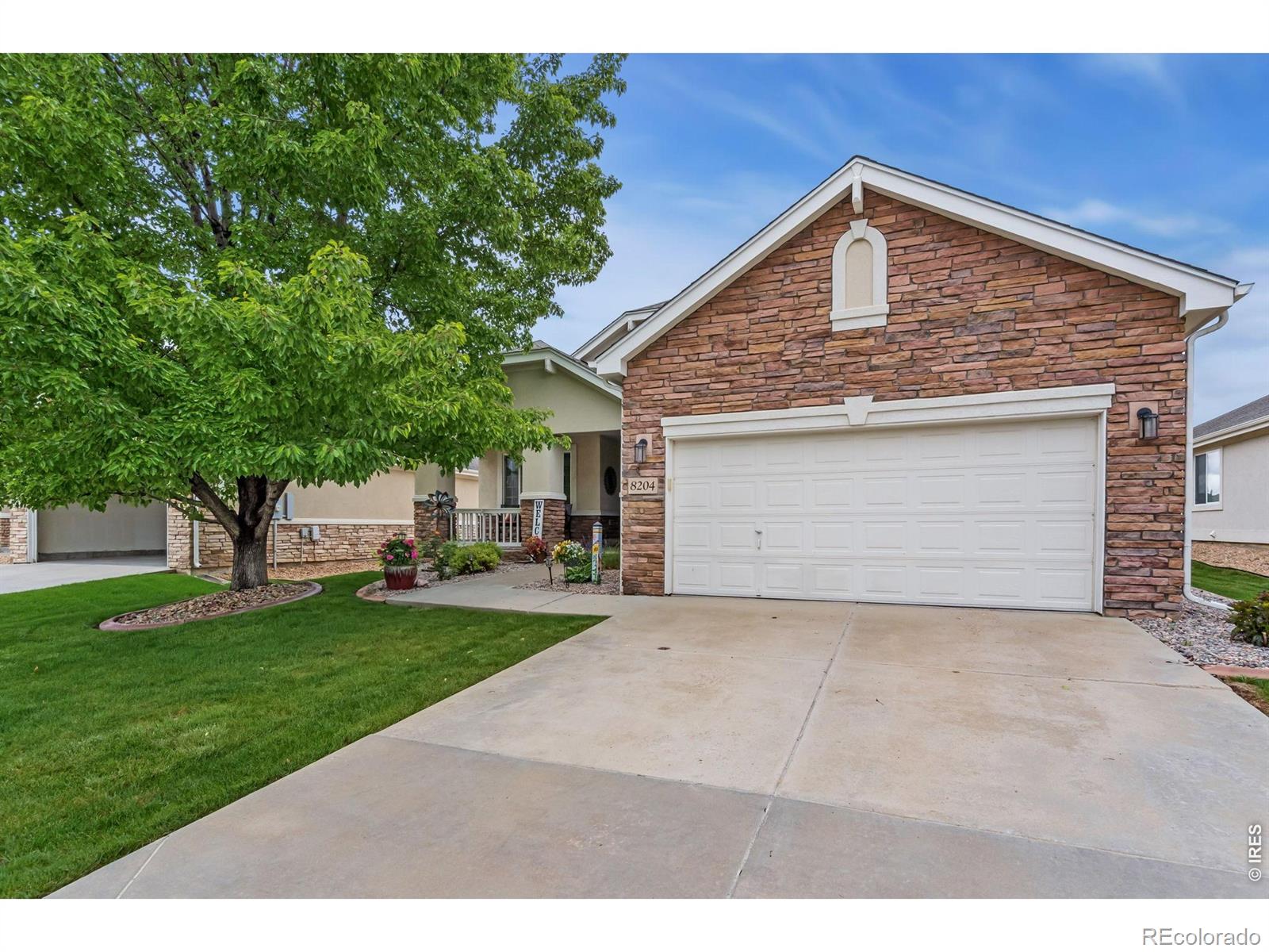 8204 Northstar Court Windsor CO 80528