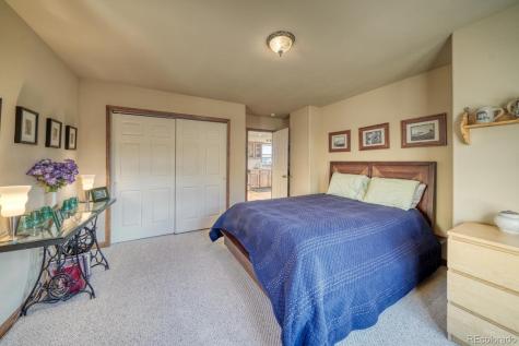 407 Mount Hope Drive Twin Lakes CO 81251