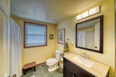 407 Mount Hope Drive Twin Lakes CO 81251