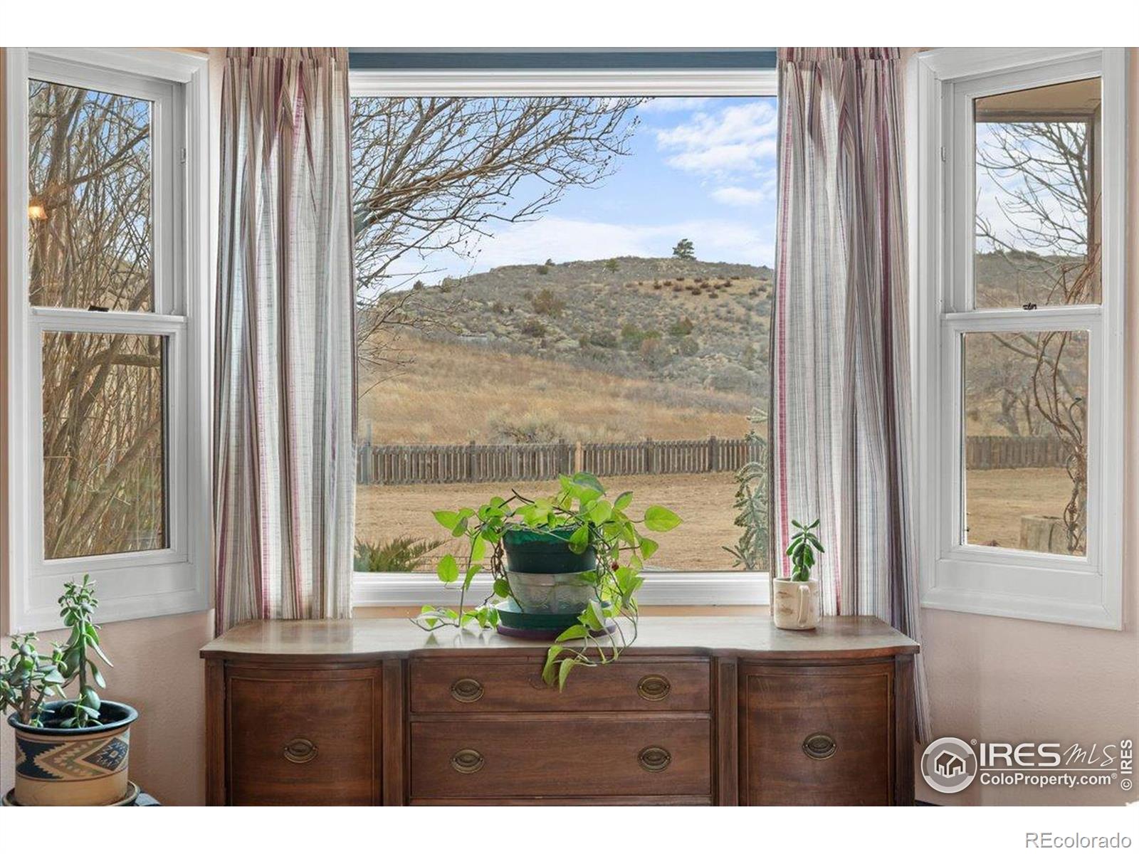6600 Tamarax Court Loveland CO 80538