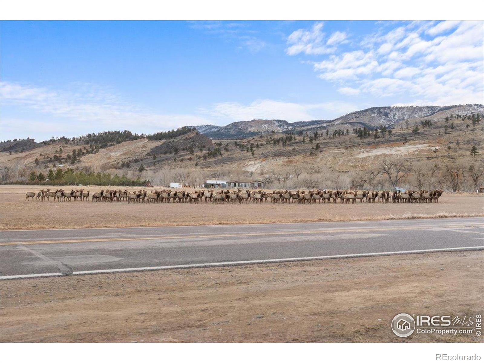 6600 Tamarax Court Loveland CO 80538