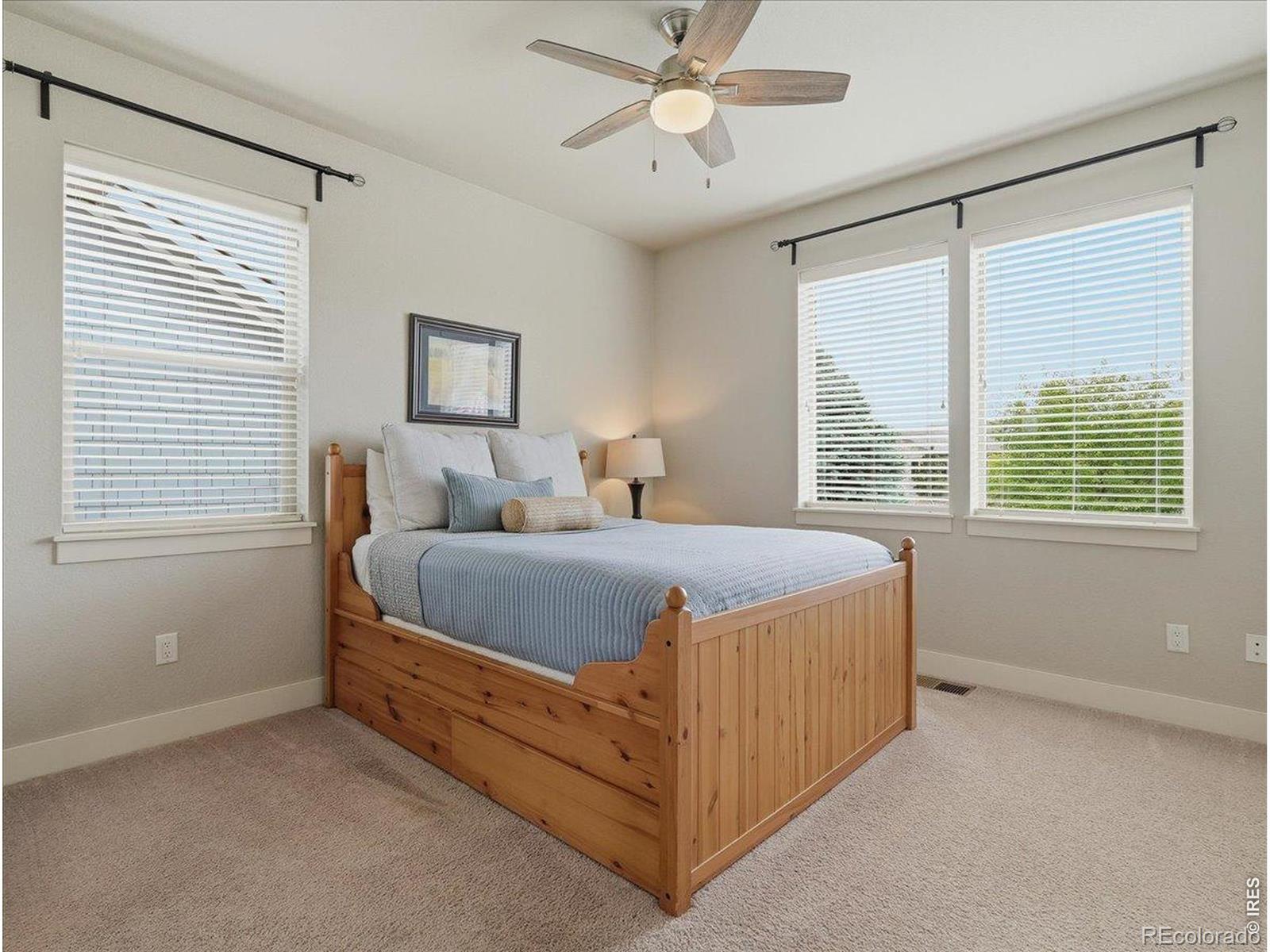 7853 Cherry Blossom Drive Windsor CO 80550