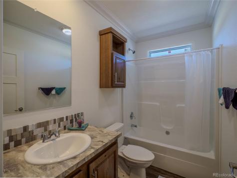 27436 County Road 313 Buena Vista CO 81211