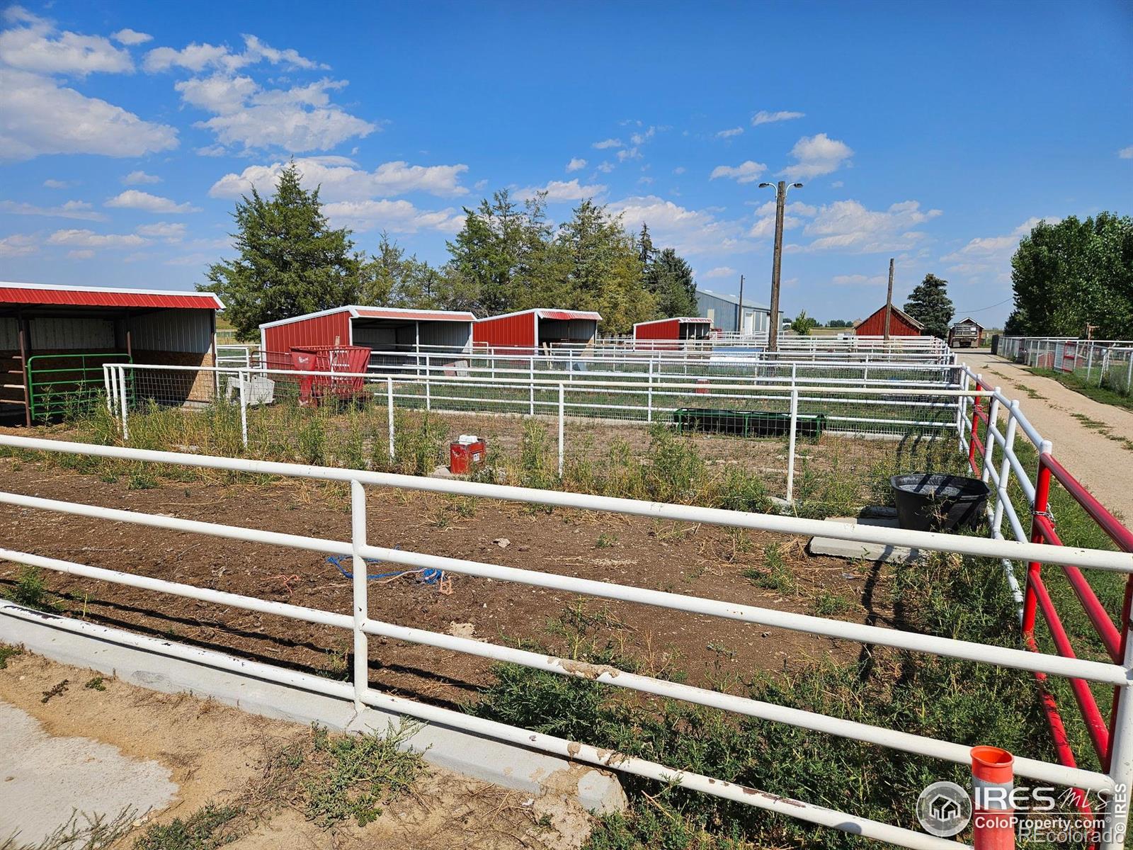 31793 County Road 29 Greeley CO 80631